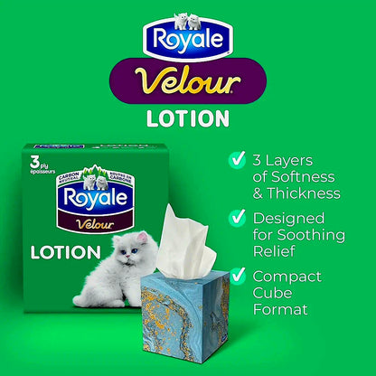Royale Velour Lotion facial tissues, 24 cube boxes per case, 54 tissues per box